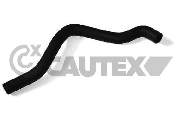 481065 Cautex