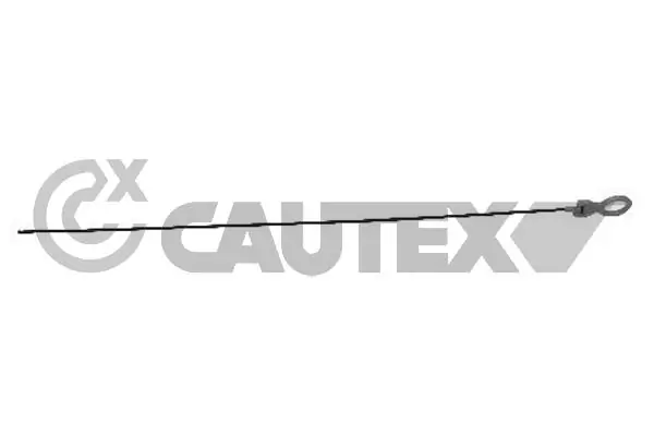 461390 Cautex
