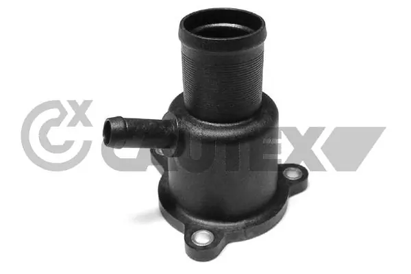952147 Cautex