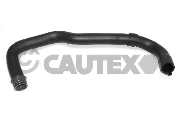 036409 Cautex