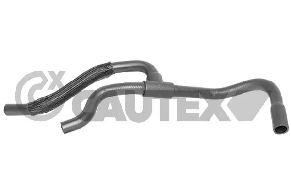 086193 Cautex