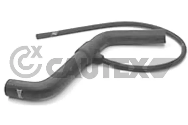 016747 Cautex