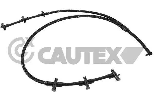 757318 Cautex
