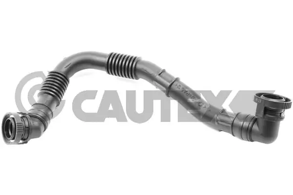 757977 Cautex