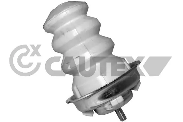 011253 Cautex