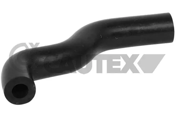 086748 Cautex