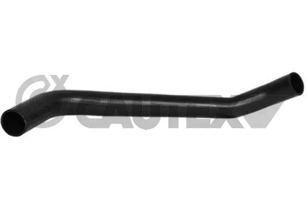 086795 Cautex