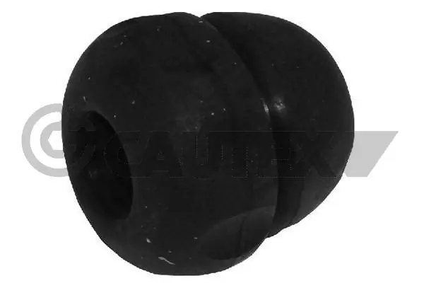 021181 Cautex