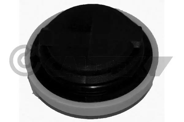 481066 Cautex