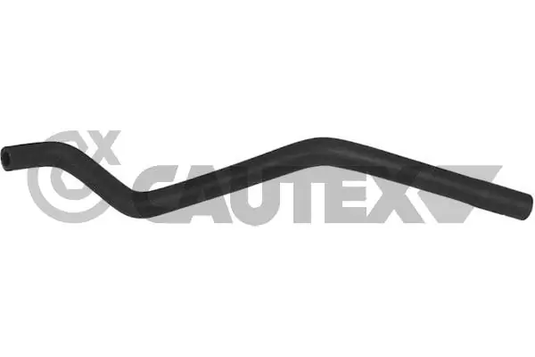 031084 Cautex