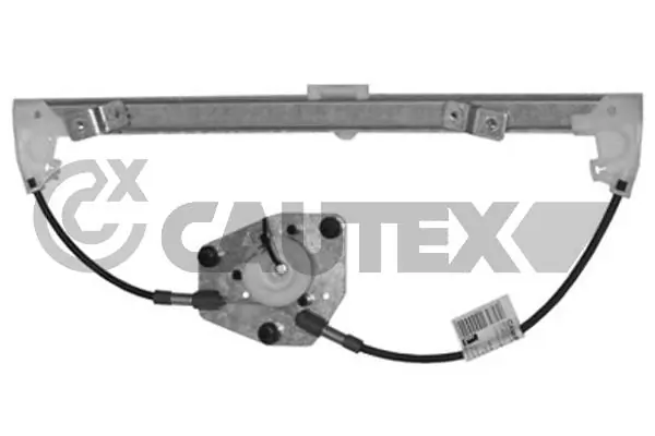 217331 Cautex