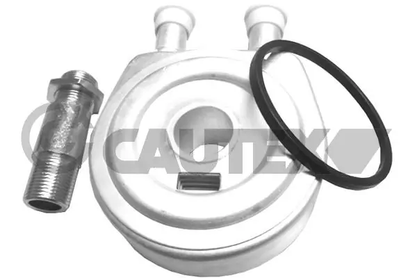 021382 Cautex