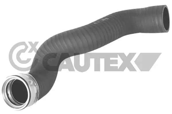 466721 Cautex