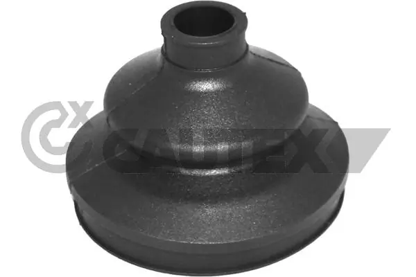 462498 Cautex