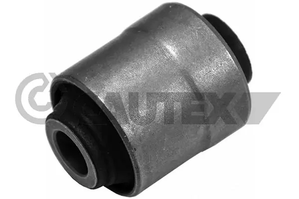 250079 Cautex