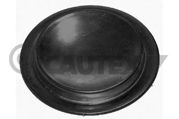 011065 Cautex