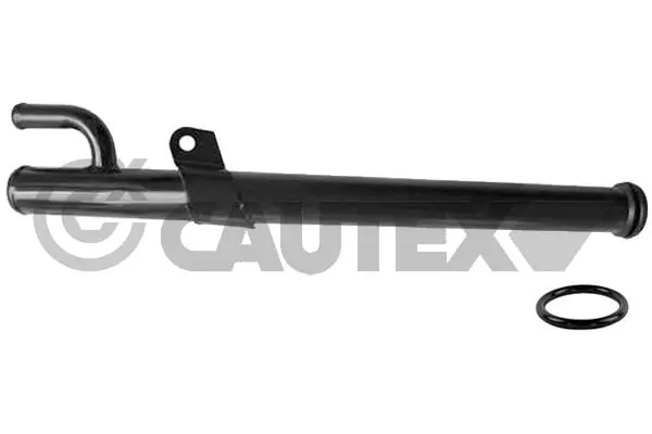 955082 Cautex