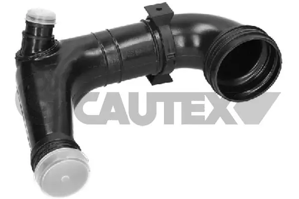 011408 Cautex