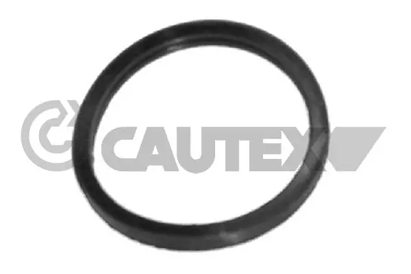 952039 Cautex