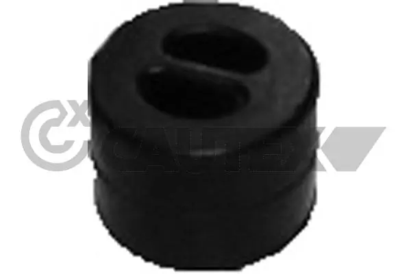 080079 Cautex