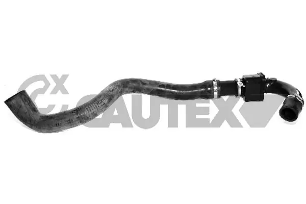 021190 Cautex