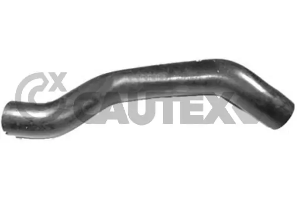 216023 Cautex