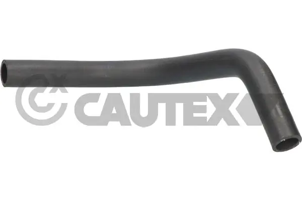 754420 Cautex