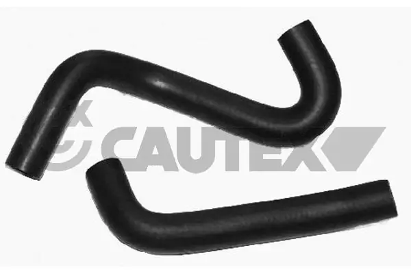 751906 Cautex