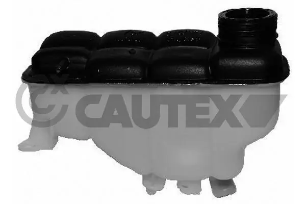 954246 Cautex