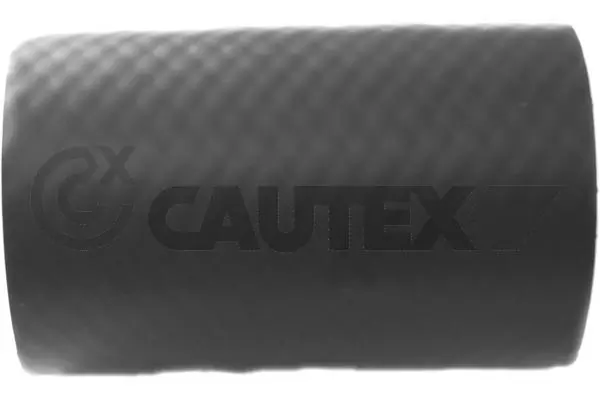 760306 Cautex