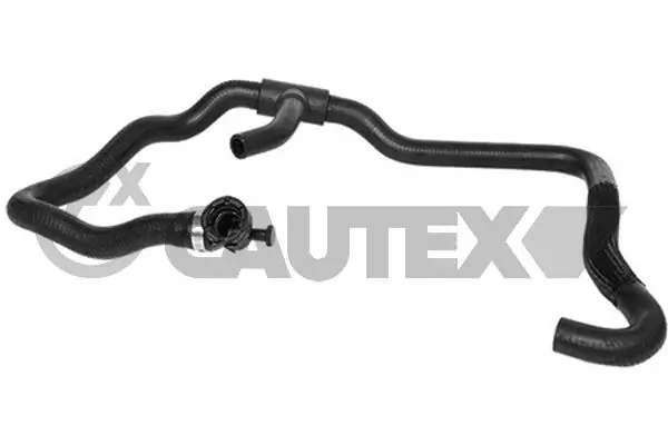026820 Cautex
