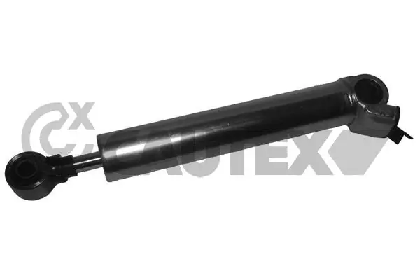 031708 Cautex