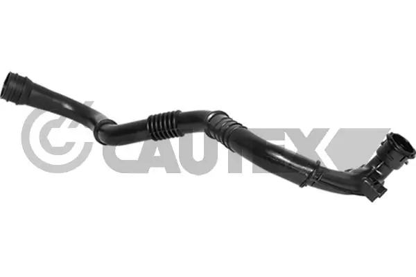 026840 Cautex