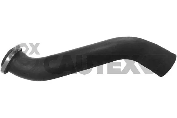 186739 Cautex