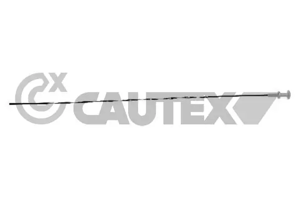 031398 Cautex