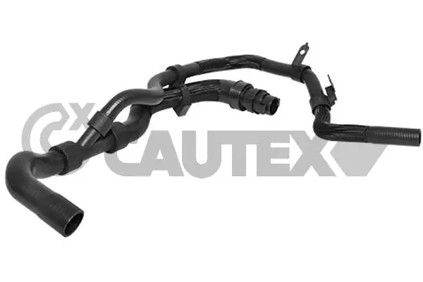 036224 Cautex