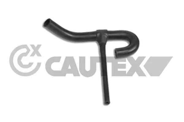 486490 Cautex