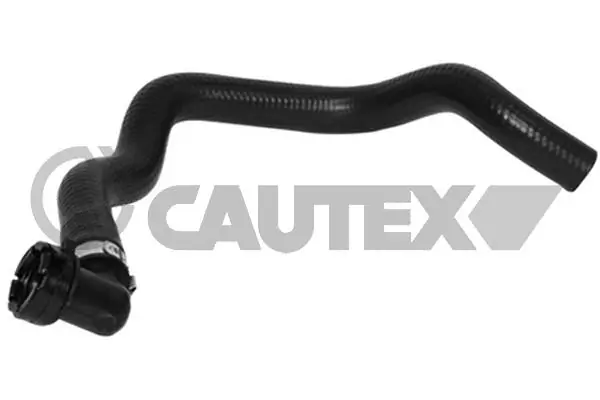 026819 Cautex