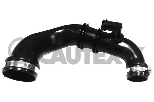 026864 Cautex