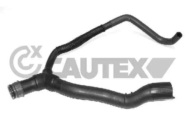 031093 Cautex