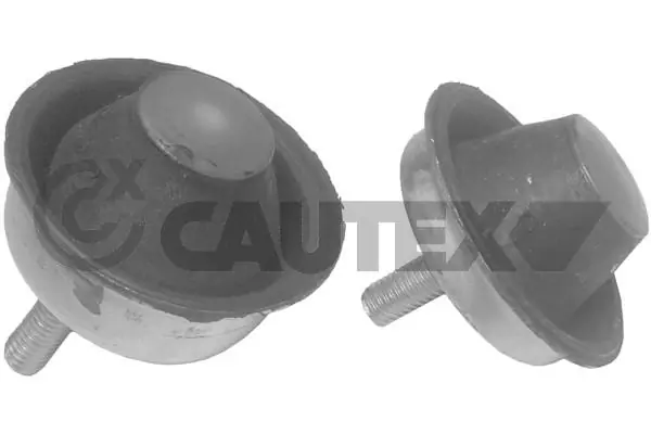 031113 Cautex