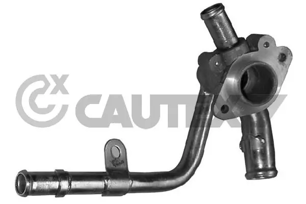 955304 Cautex