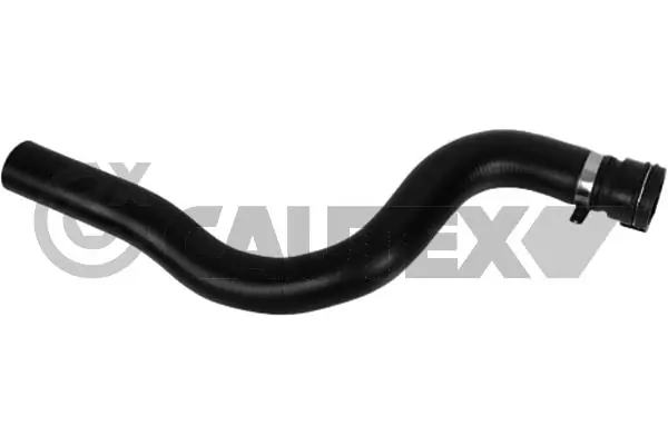 771616 Cautex