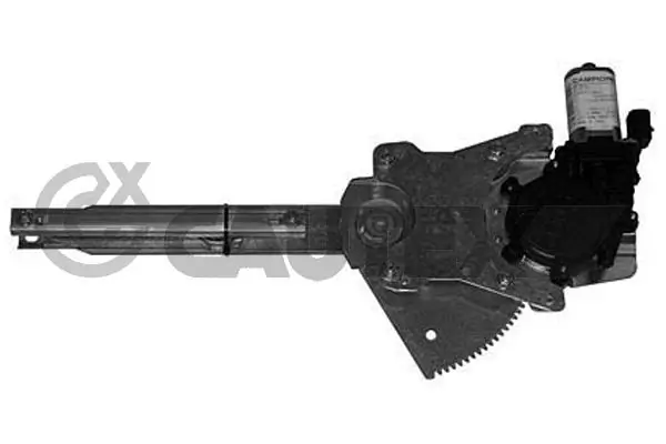 197014 Cautex