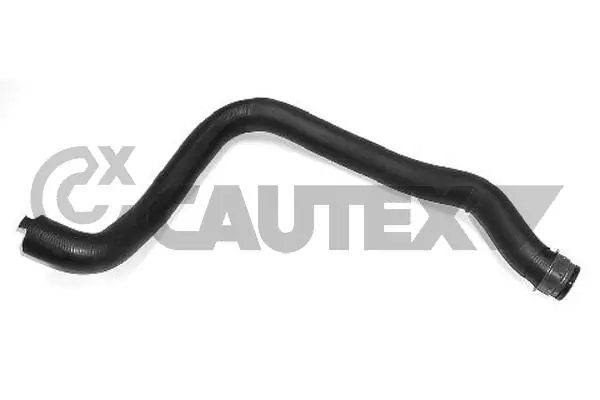 031294 Cautex