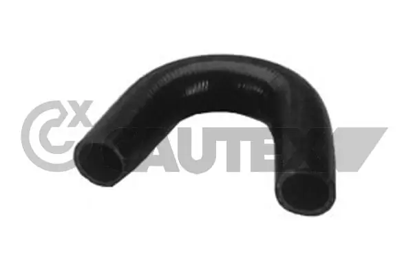 216003 Cautex