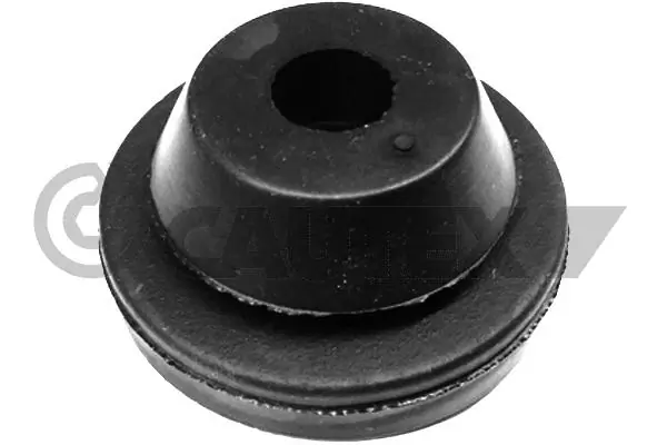 771467 Cautex
