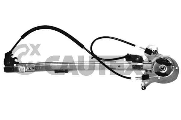 027417 Cautex
