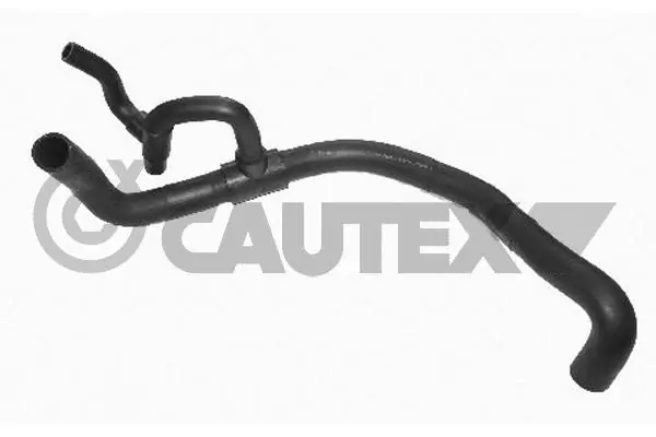 466097 Cautex
