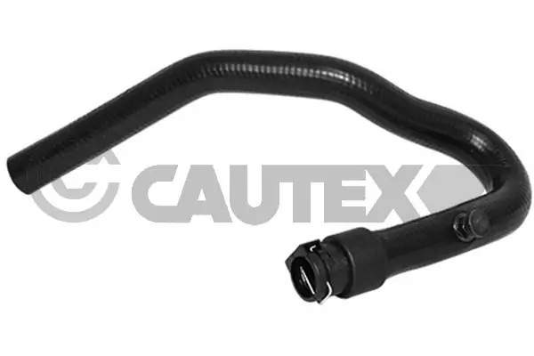 036735 Cautex
